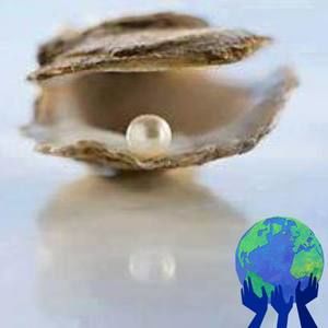 Meet your Posher, Jasmin